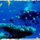 Deep Diving Tips - Xperience Florida Marine