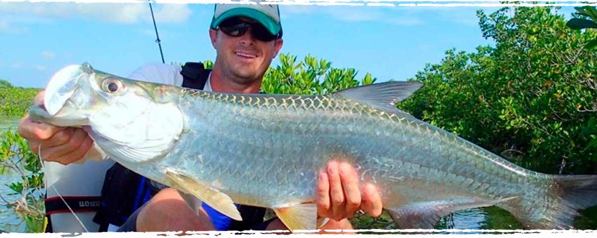Do You Make These Mistakes When Striper Fishing - Xperience Florida Marine