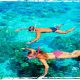 Tips for safe snorkeling - Xperience Florida Marine