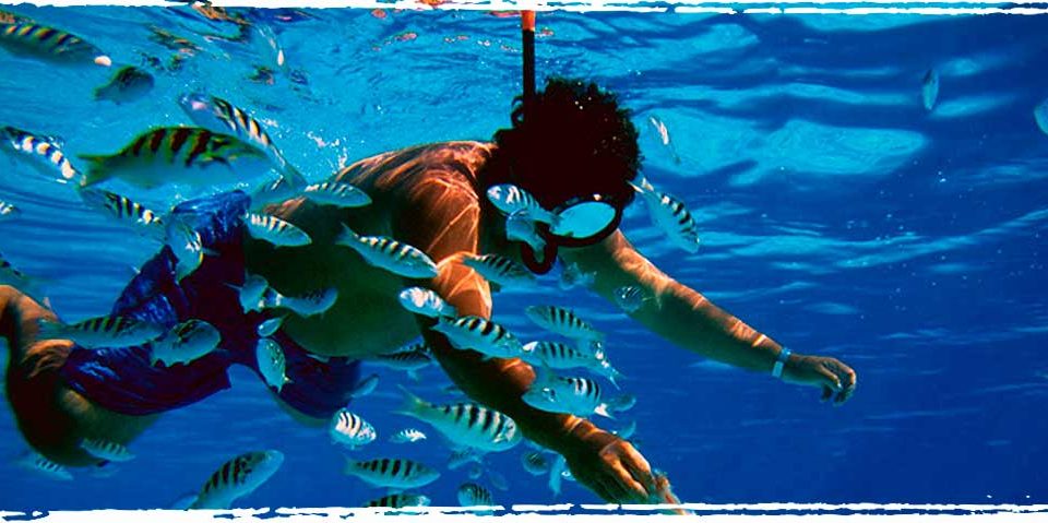 Top 10 Florida Snorkeling Spots - Xperience Florida Marine