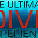 The Ultimate Dive Experience - Xperience Florida Marine